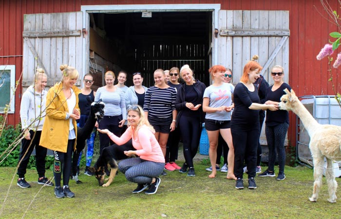 Elämyspaketit ryhmille