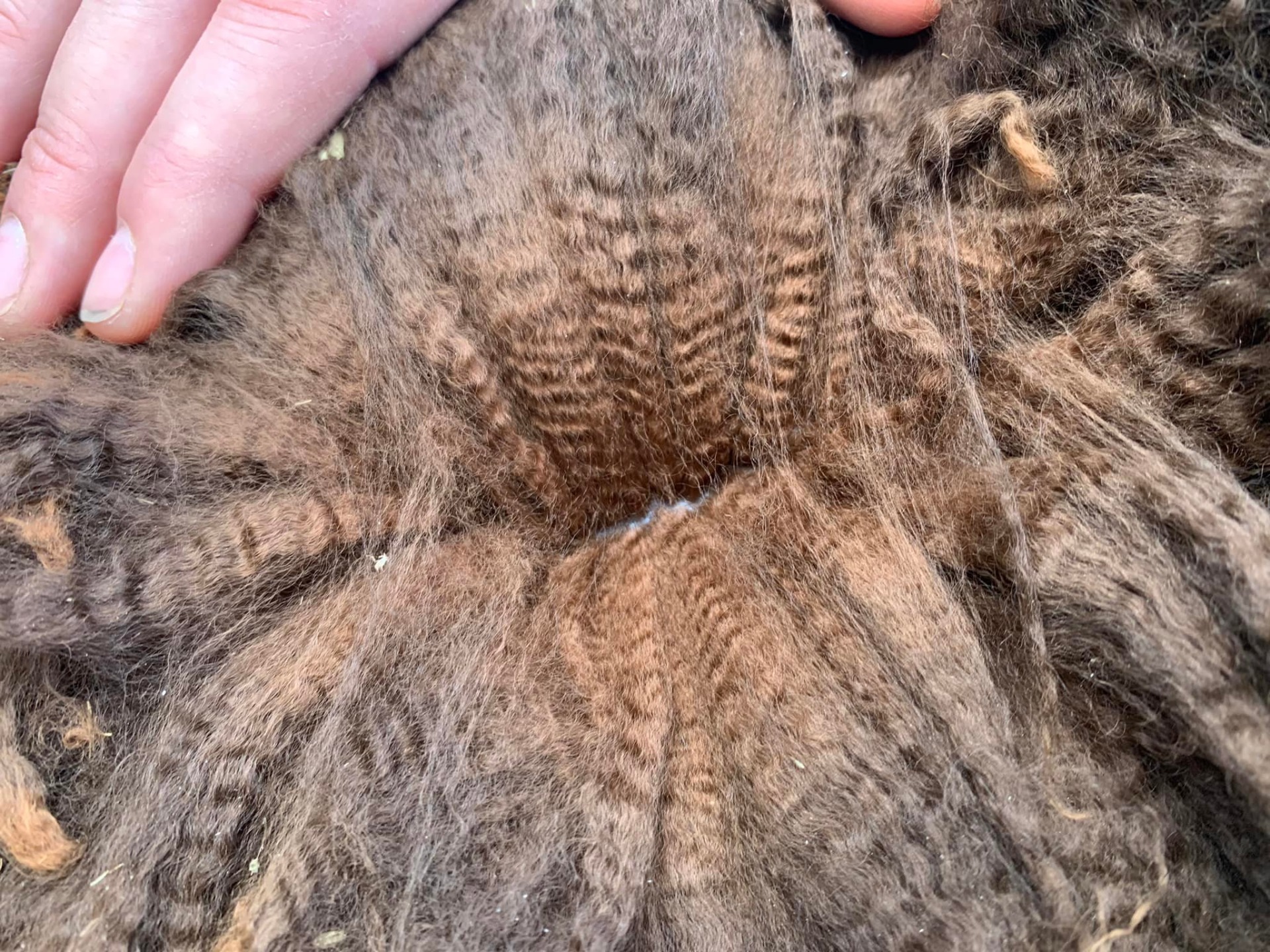 Konsultaatiopalvelu ja kerintä