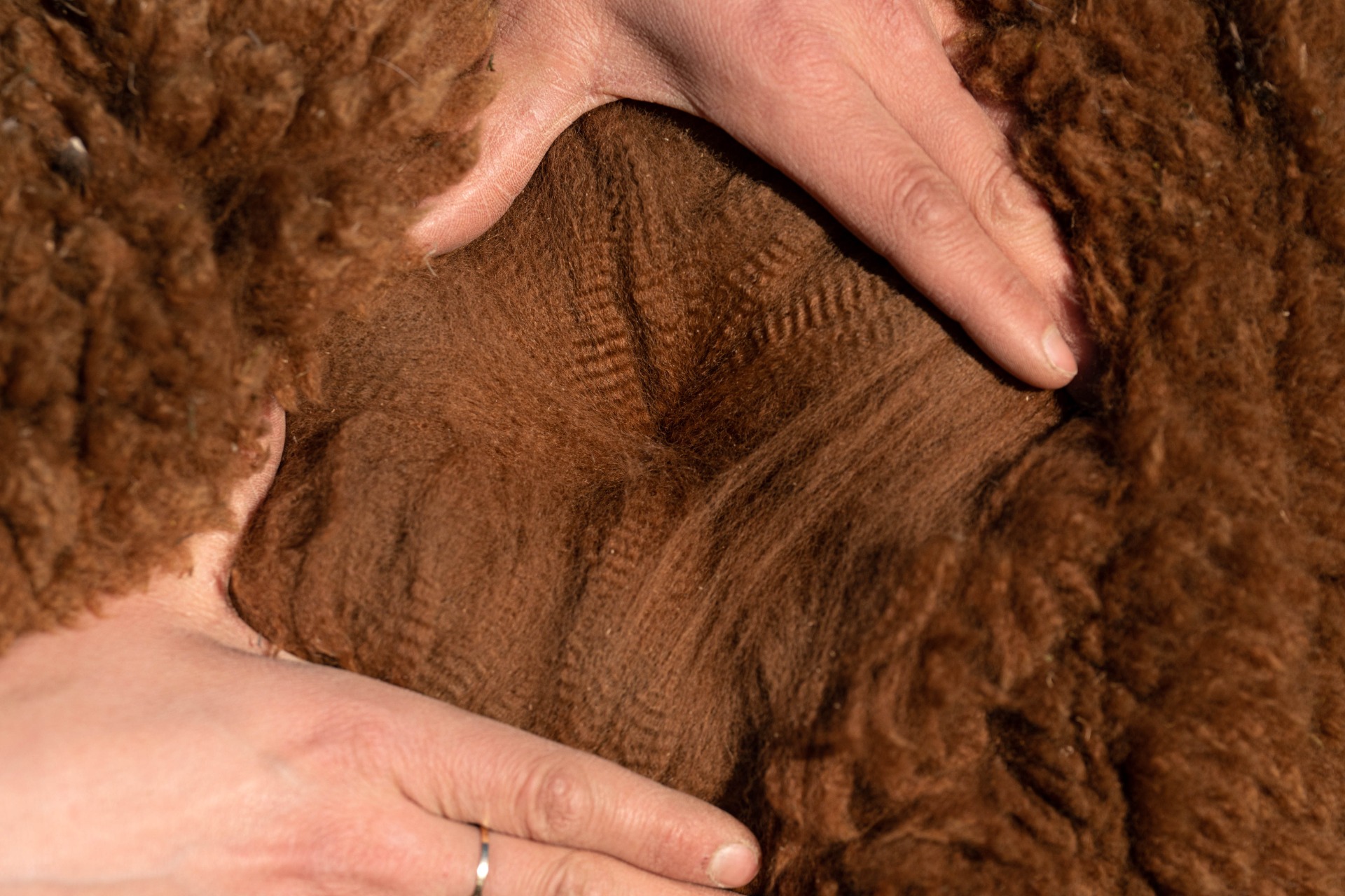 Sednan 2. villa 2023. Tällä villalla tuli luokkavoitto. Kuva: Johanna Sjövall, Pori