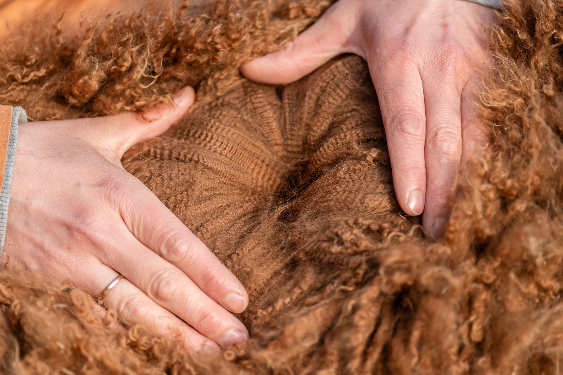 Bermudan villa 2025 / Bermuda's fleece 2025 Photo: Johanna Sjövall