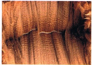 Shear Fortituden villa. Kuva: Nybo Alpackor, Ruotsi