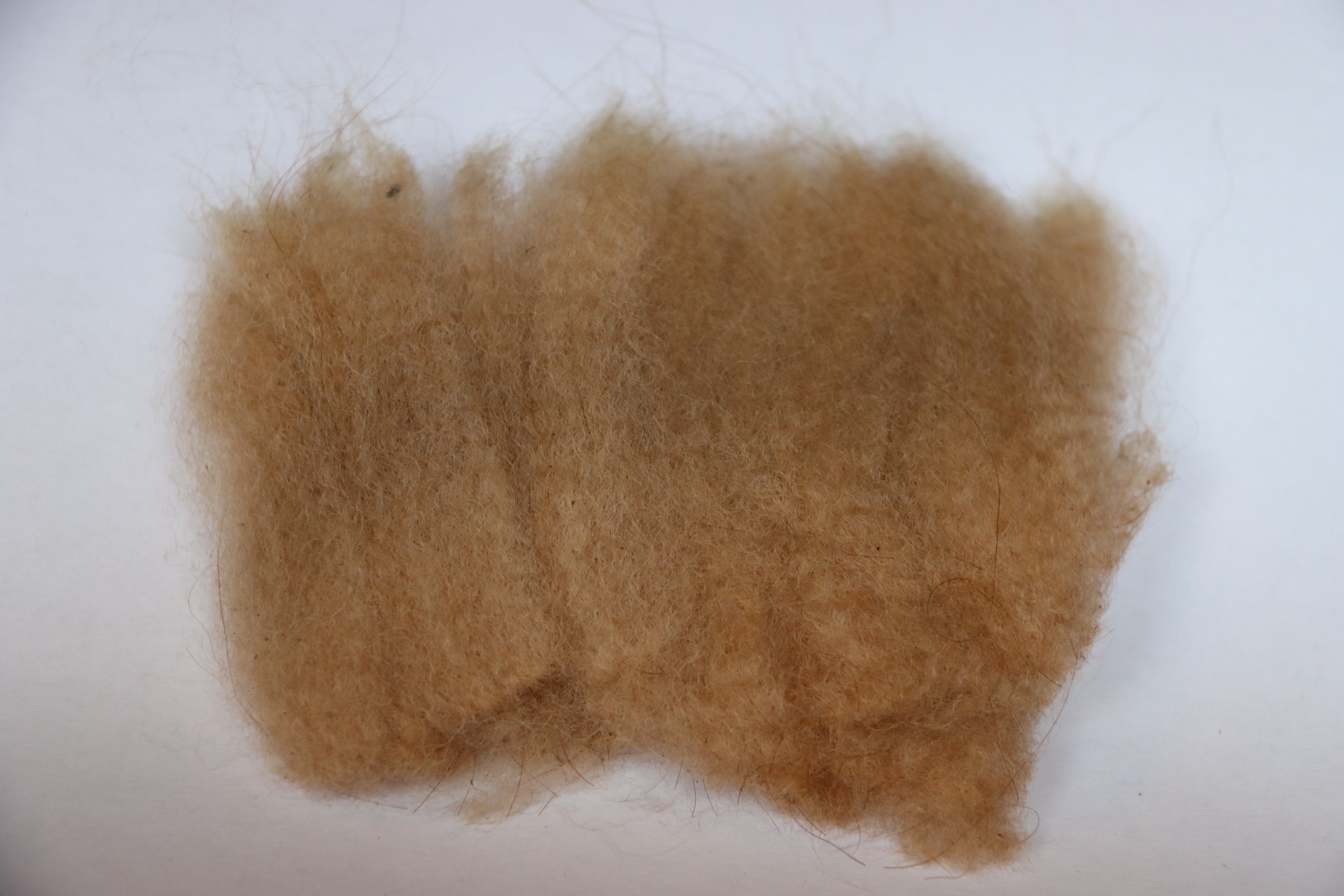 Larissan 9. villanäyte 2023. Kuva: Carita Saarinen 