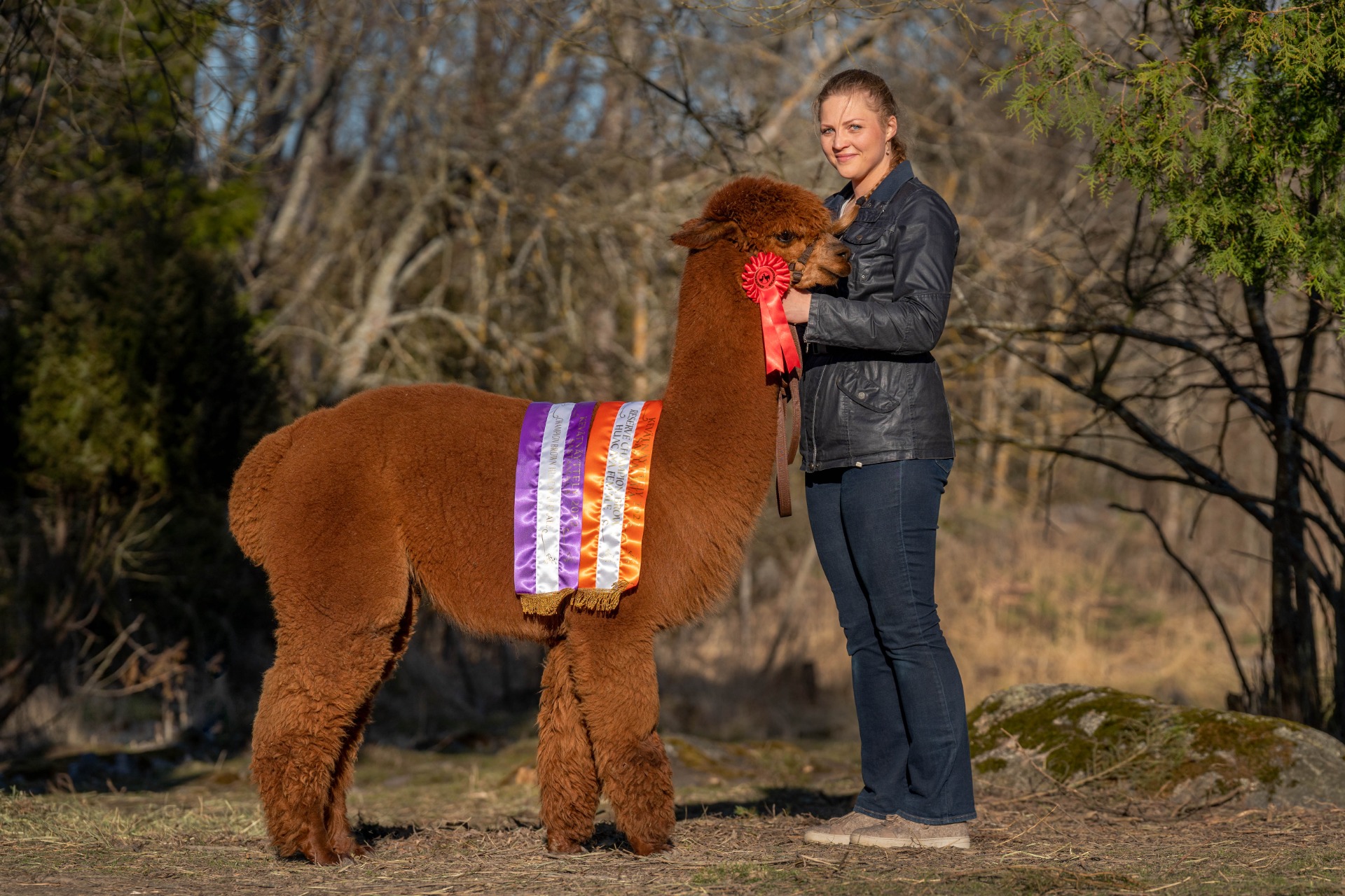 Fortuna of Wuthering Heights 3.5.2023. Fortunalla on kolme luokkavoittoa, yksi Champion ja yksi Reserve Champion. Kuva: Johanna Sjövall, Pori