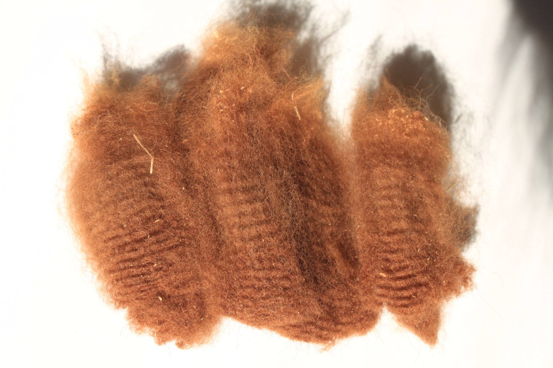 Fortunan villanäyte 2021 kerinnästä. Kuva: Carita Saarinen