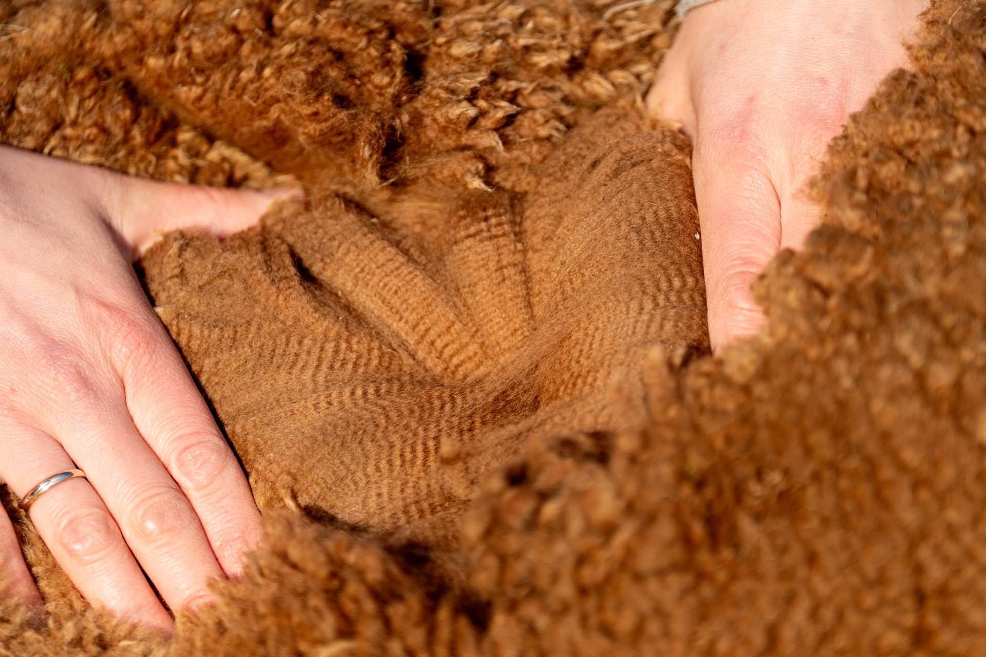 Nymphin 3. villa 24.5.2025. Kuva: Johanna Sjövall, Pori 