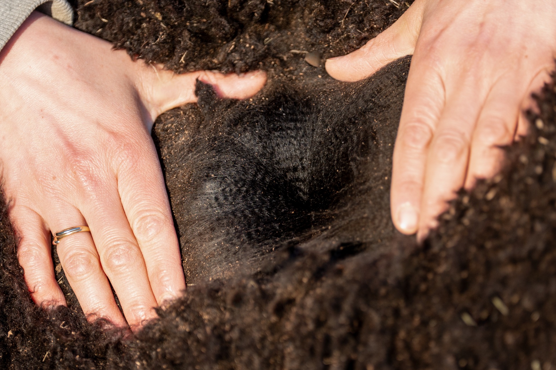 Touchén 2. villa 24.4.2025. Kuva: Johanna Sjövall, Pori