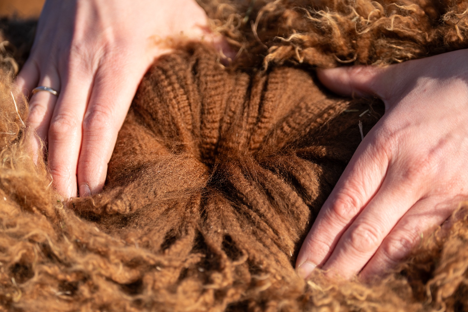 Catherinen 1. villa, 10kk ikäisenä, 24.4.2025. Kuva: Johanna Sjövall, Pori 
