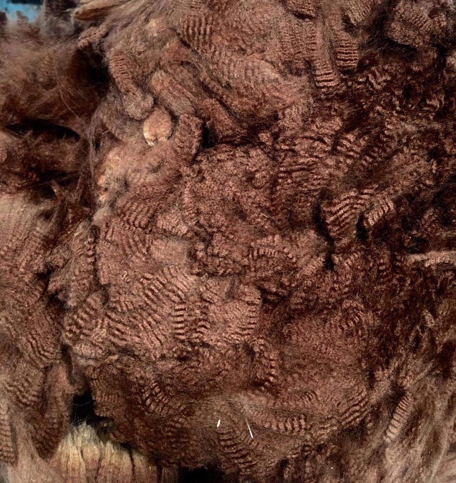 Koo Wee Rupin villa. Kuva: Inca Alpaca