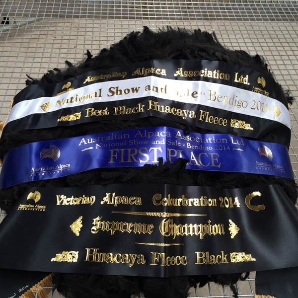 Surtierra Shadown villan hieno palkintosaalis. Kuva: Inca Alpacas