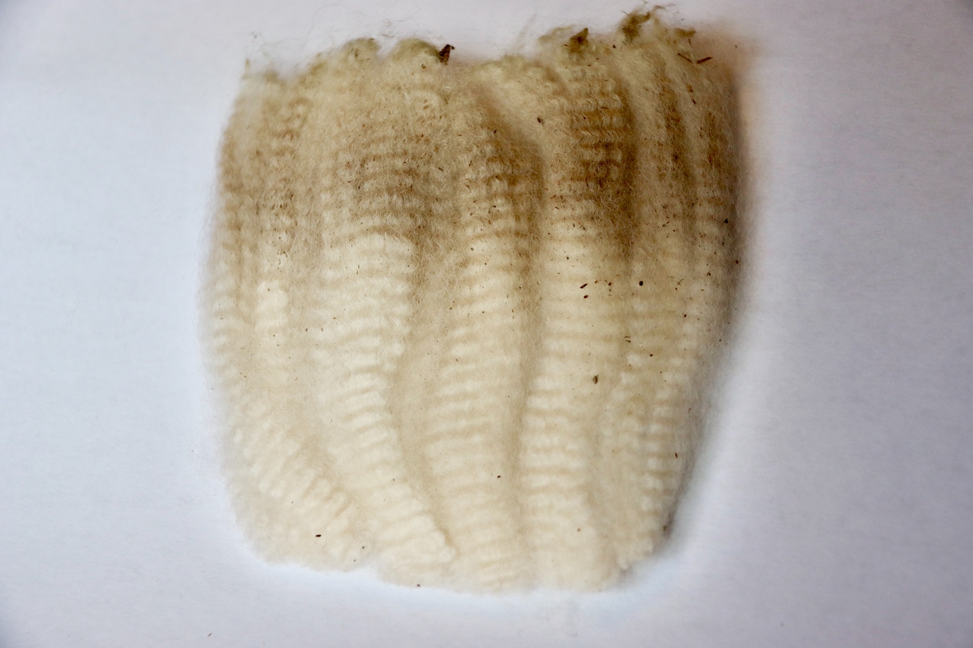 Atlaksen villanäyte 5.2025. Kuva: Carita Saarinen