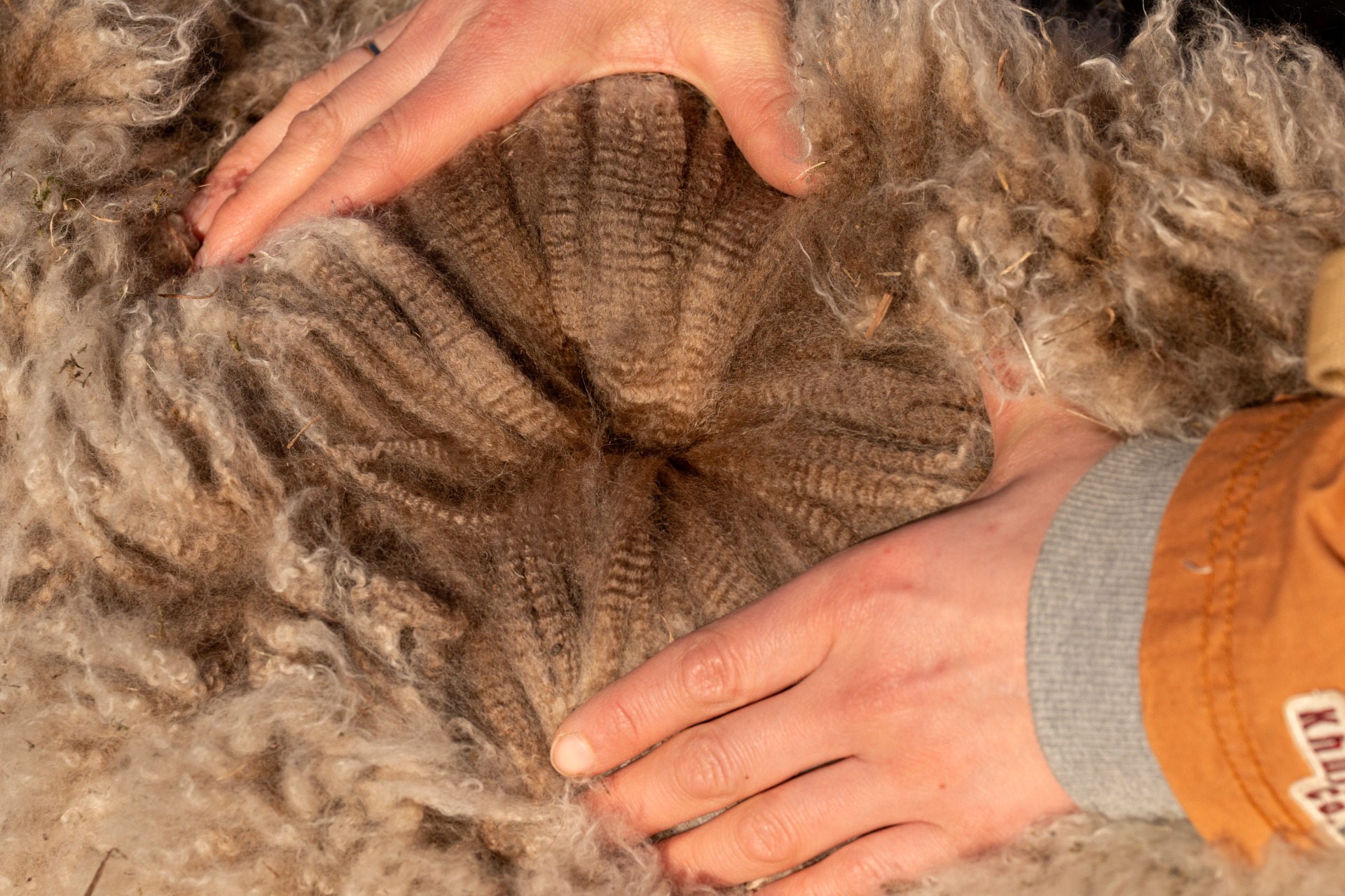 Saturnon kiehtovan harmaa ja upeasti luonnonvalossa hohtava villa 25.4.2025. Kuva: Johanna Sjövall, Pori