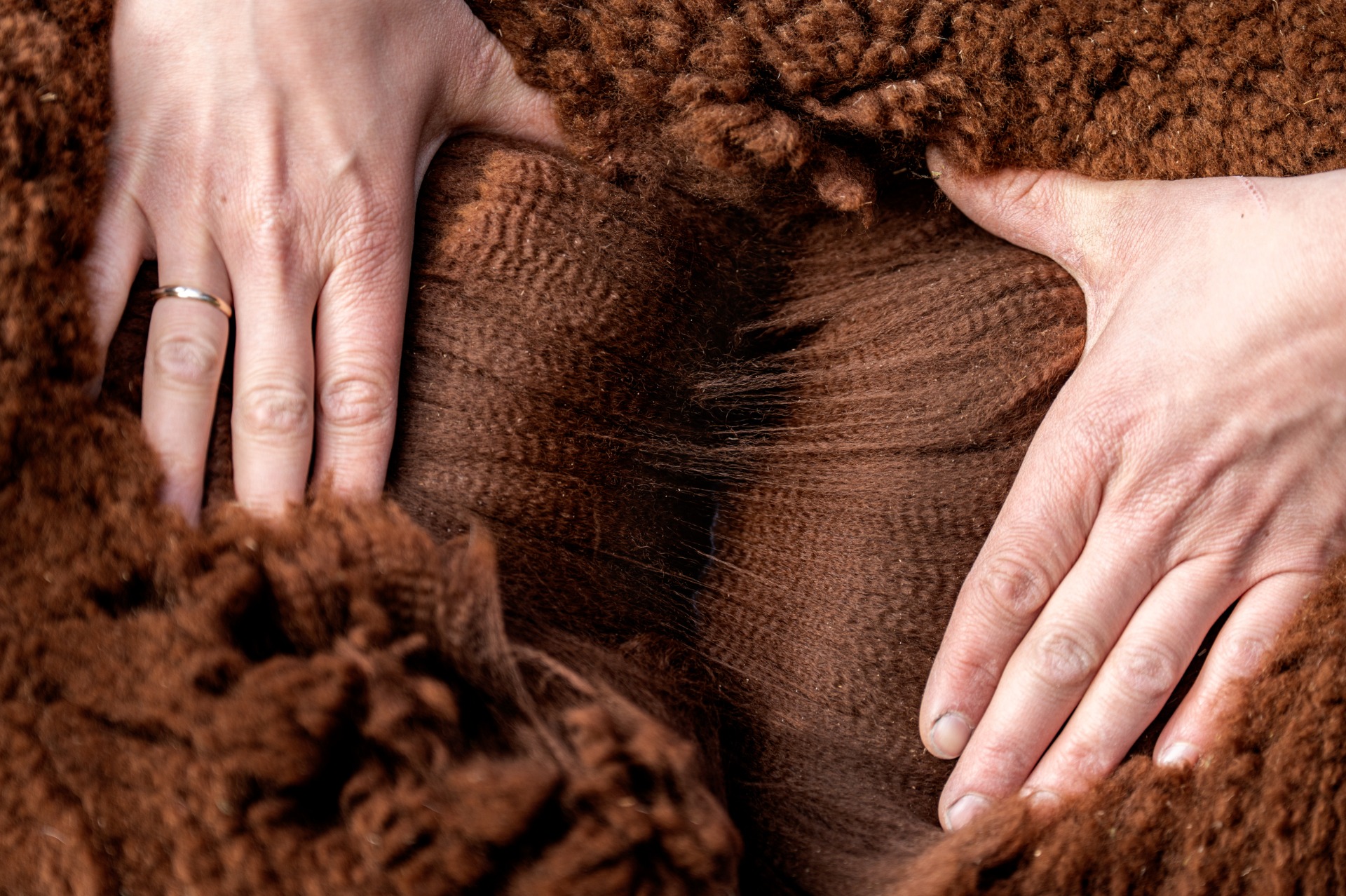 Neptunen villa 2.5.2024. Kuva: Johanna Sjövall, Pori