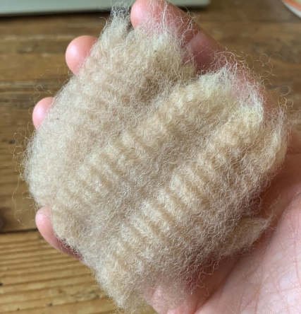 Lillanin villa 6-vuotiaana / Lillan's fleece at the age of 6 years.