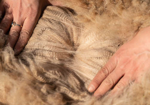 Wuthering Heights Hauronin villa 3.5.2023. Kuva: Johanna Sjövall, Pori