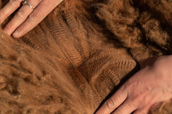 Wuthering Heights Eon fleece / Eon villa 3.5.2023. Photo: Johanna Sjövall, Pori